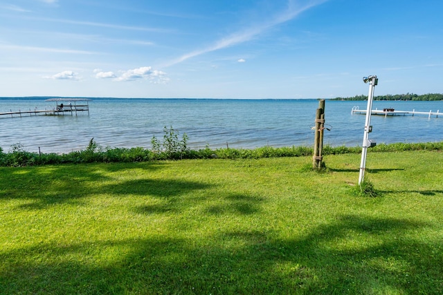 234 Patrick Dr, Indian River, MI 49749 - photo 5