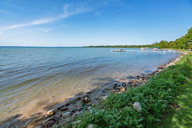 234 Patrick Dr, Indian River, MI 49749 - photo 4