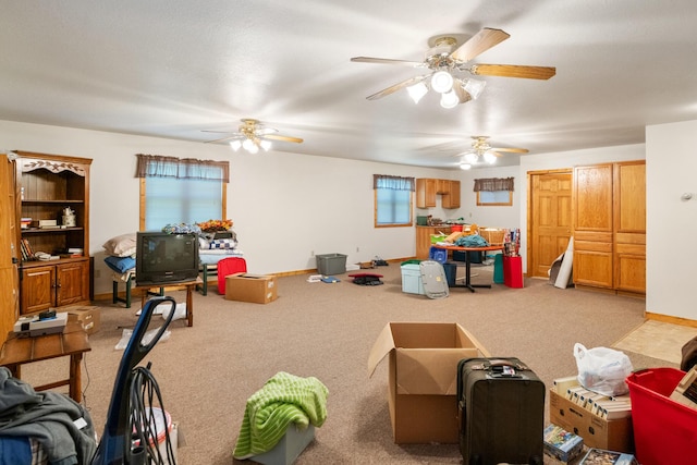 234 Patrick Dr, Indian River, MI 49749 - photo 46