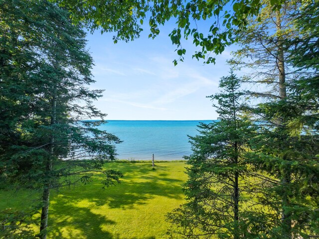 234 Patrick Dr, Indian River, MI 49749 - photo 58