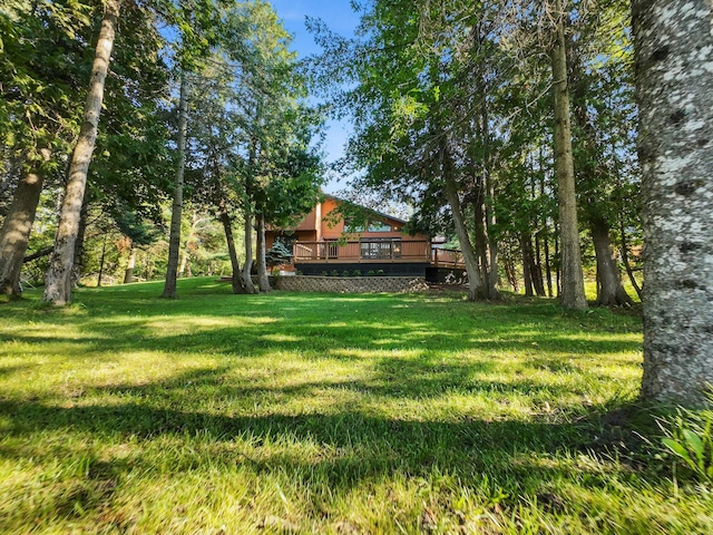 234 Patrick Dr, Indian River, MI 49749 - photo 9