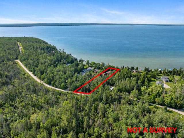 234 Patrick Dr, Indian River, MI 49749 - photo 61