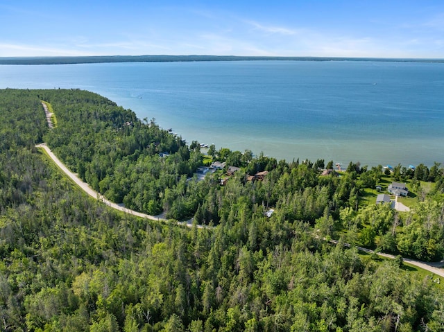 234 Patrick Dr, Indian River, MI 49749 - photo 62