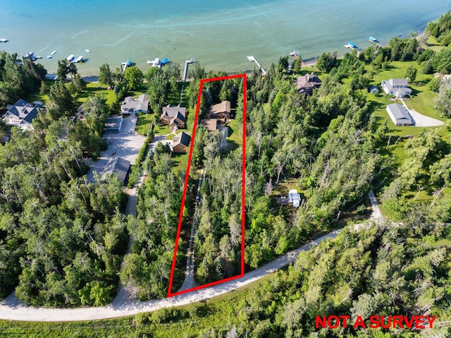 234 Patrick Dr, Indian River, MI 49749 - photo 63