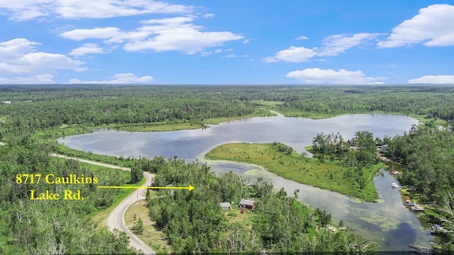 8717 Caulkins Lake Rd, Johannesburg, MI 49751 - photo 2