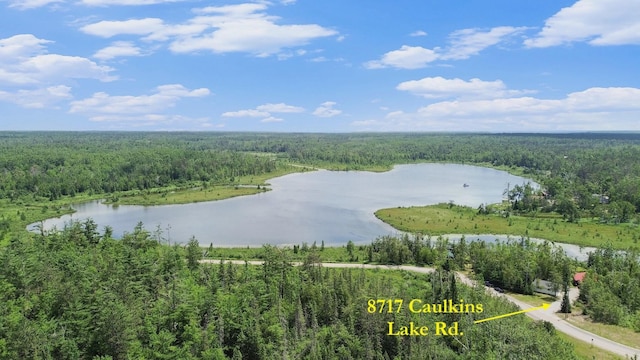 8717 Caulkins Lake Rd, Johannesburg, MI 49751 - photo 3