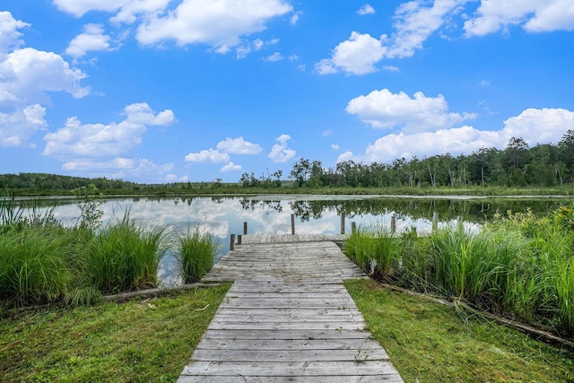 8717 Caulkins Lake Rd, Johannesburg, MI 49751 - photo 4