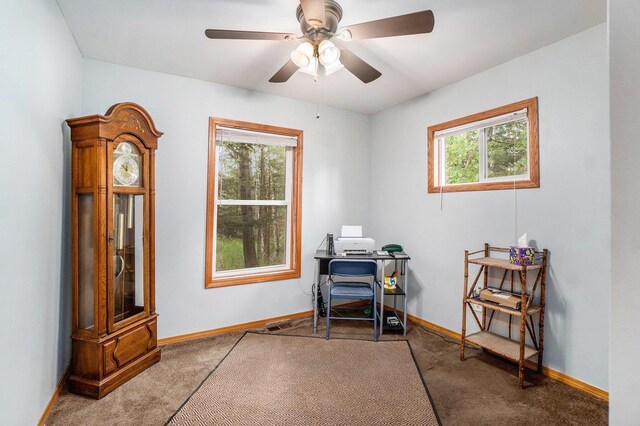 8717 Caulkins Lake Rd, Johannesburg, MI 49751 - photo 15