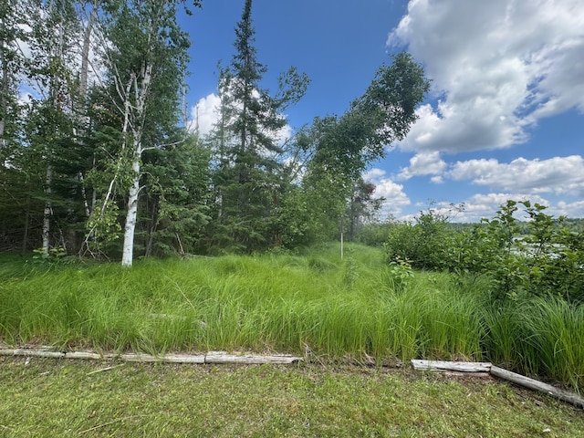 8717 Caulkins Lake Rd, Johannesburg, MI 49751 - photo 28