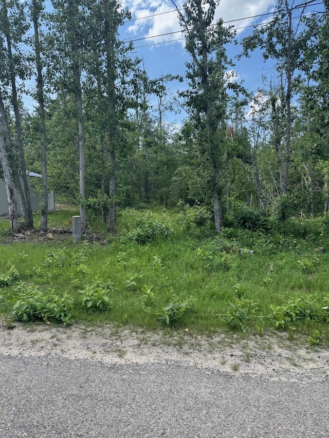 8717 Caulkins Lake Rd, Johannesburg, MI 49751 - photo 29