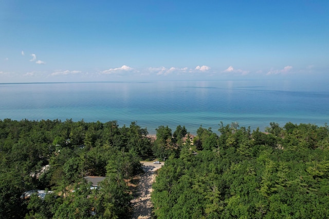 14120 Vaness Dr, Cheboygan, MI 49721 - photo 7