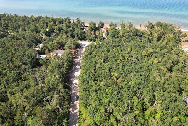 14120 Vaness Dr, Cheboygan, MI 49721 - photo 8