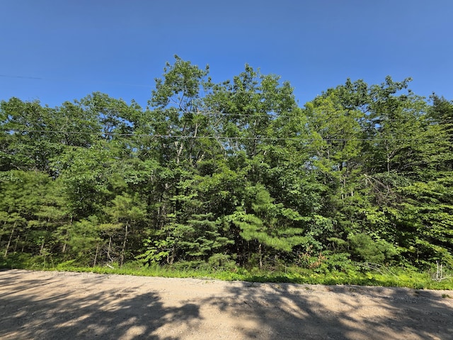 14120 Vaness Dr, Cheboygan, MI 49721 - photo 1