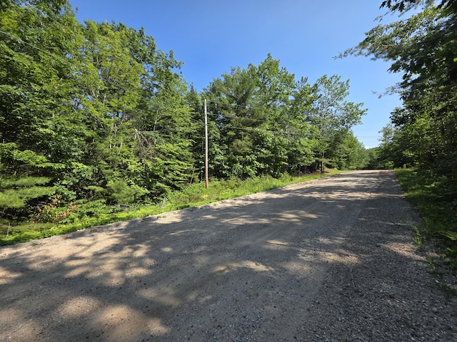 14120 Vaness Dr, Cheboygan, MI 49721 - photo 4