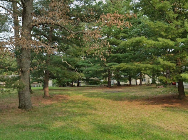 117 Vienna Ct, Houghton Lake, MI 48629 - view of green lawn