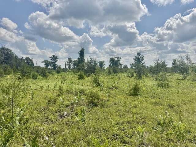 2142 Eaton Trl, Grayling, MI 49738 - photo 32