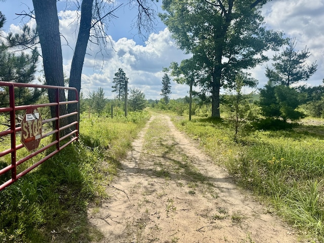 2142 Eaton Trl, Grayling, MI 49738 - photo 33