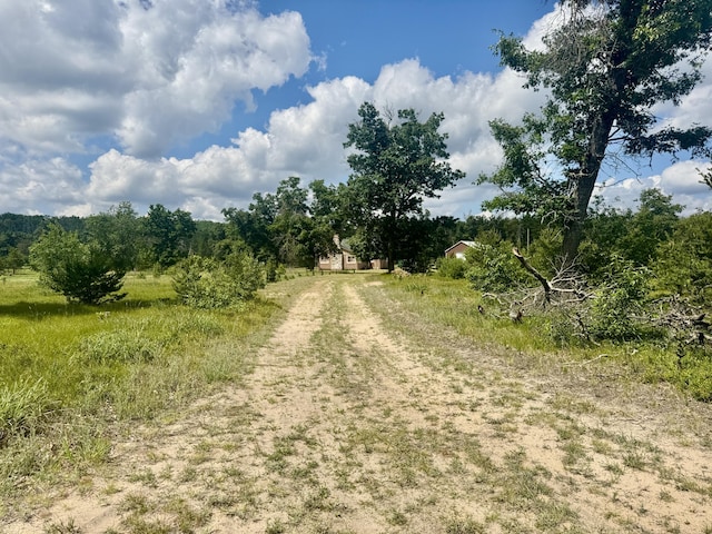 2142 Eaton Trl, Grayling, MI 49738 - photo 34