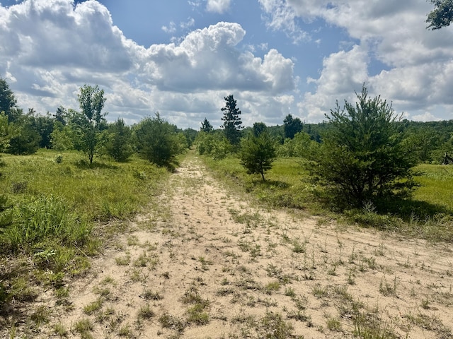 2142 Eaton Trl, Grayling, MI 49738 - photo 35