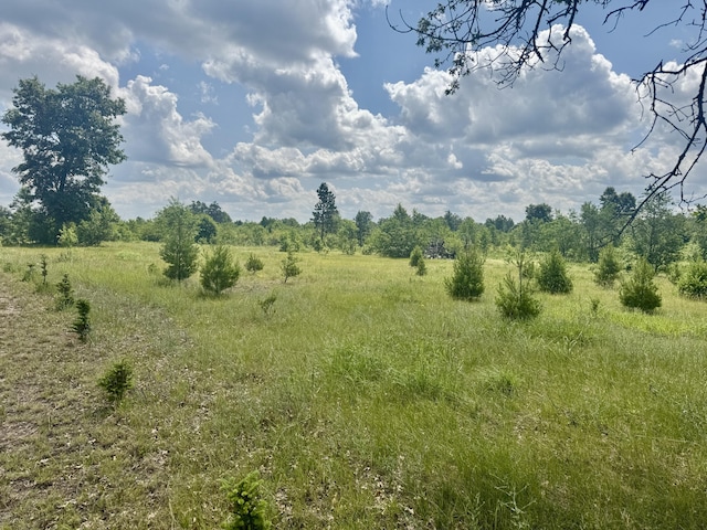 2142 Eaton Trl, Grayling, MI 49738 - photo 37