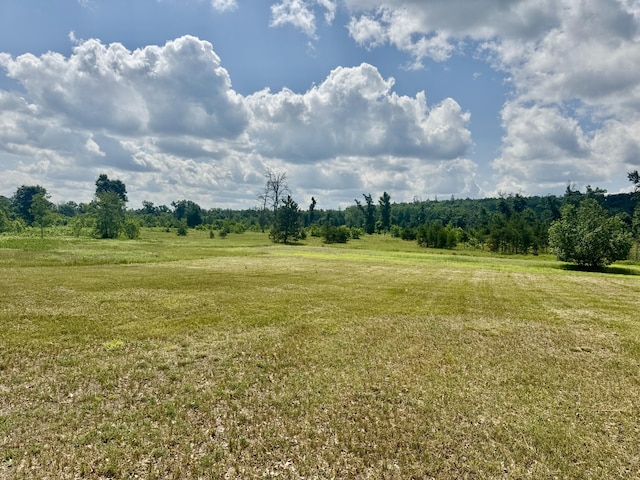 2142 Eaton Trl, Grayling, MI 49738 - photo 38