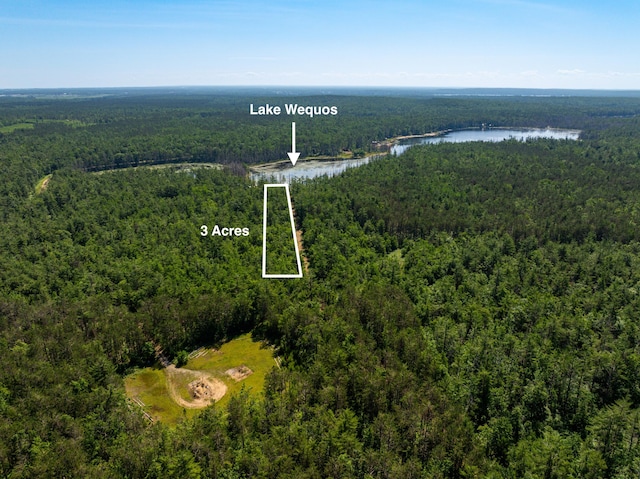 LOT25 Carothers Dr, Gaylord, MI 49735 - photo 7