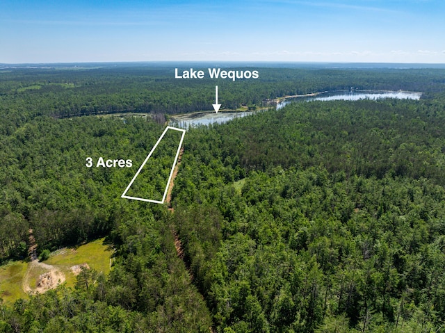 LOT25 Carothers Dr, Gaylord, MI 49735 - photo 9