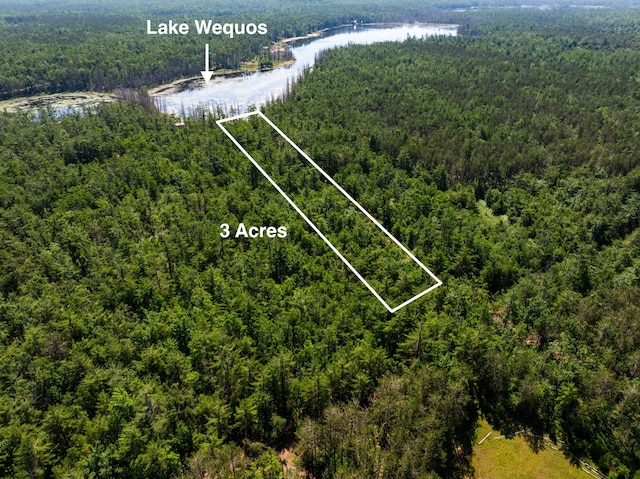 LOT25 Carothers Dr, Gaylord, MI 49735 - photo 10