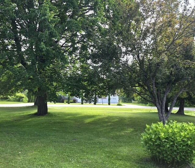 1212 Elden Dr, Alpena, MI 49707 - photo 21
