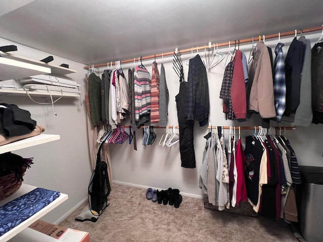 332 Pingree St, Roscommon, MI 48653 - spacious closet with carpet flooring
