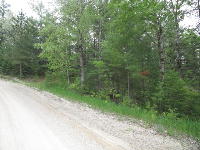 14796 E Shore Line Dr, Wolverine, MI 49799 - photo 2