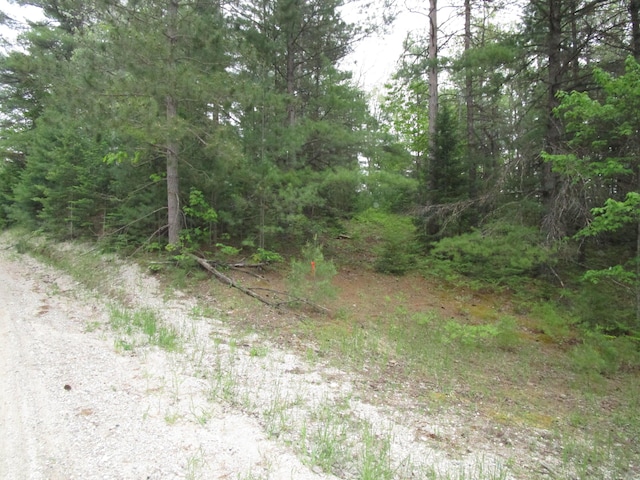 14796 E Shore Line Dr, Wolverine, MI 49799 - photo 4