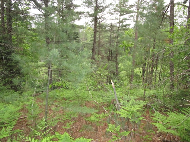 14796 E Shore Line Dr, Wolverine, MI 49799 - photo 5