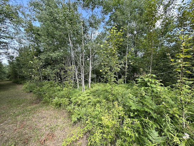 NHN Emils Landing Rd, Hillman, MI 49746 - photo 1