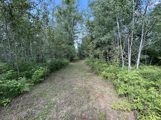 NHN Emils Landing Rd, Hillman, MI 49746 - photo 3