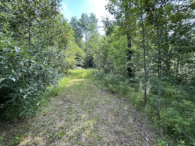 NHN Emils Landing Rd, Hillman, MI 49746 - photo 4