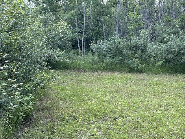 NHN Emils Landing Rd, Hillman, MI 49746 - photo 5