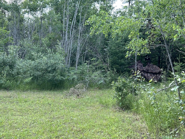 NHN Emils Landing Rd, Hillman, MI 49746 - photo 6