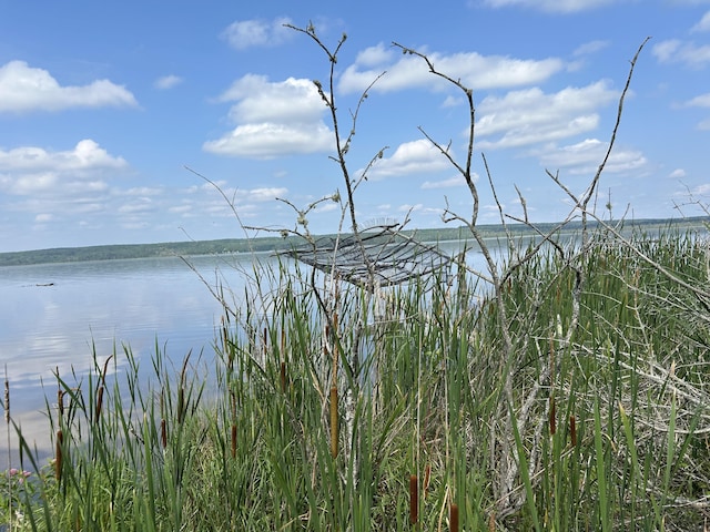 NHN Emils Landing Rd, Hillman, MI 49746 - photo 8
