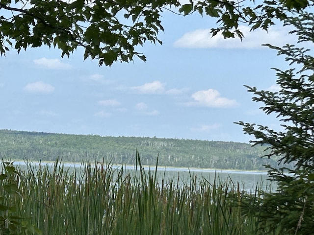 NHN Emils Landing Rd, Hillman, MI 49746 - photo 9