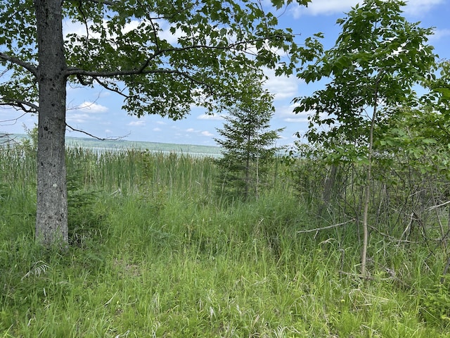 NHN Emils Landing Rd, Hillman, MI 49746 - photo 10