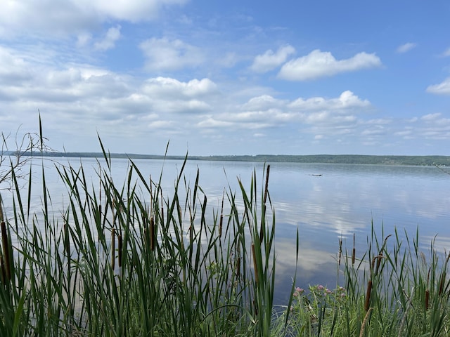NHN Emils Landing Rd, Hillman, MI 49746 - photo 11