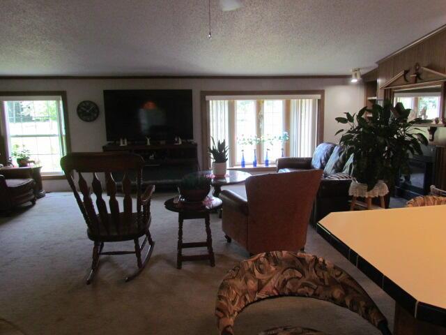 15520 Greasy Creek Rd, Atlanta, MI 49709 - photo 9