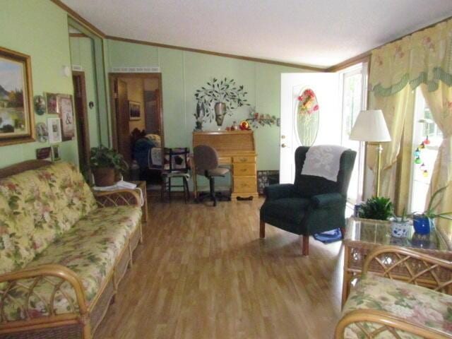 15520 Greasy Creek Rd, Atlanta, MI 49709 - photo 4