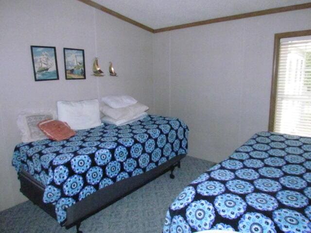 15520 Greasy Creek Rd, Atlanta, MI 49709 - photo 10