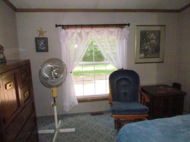 15520 Greasy Creek Rd, Atlanta, MI 49709 - photo 15
