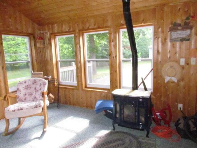 15520 Greasy Creek Rd, Atlanta, MI 49709 - photo 30