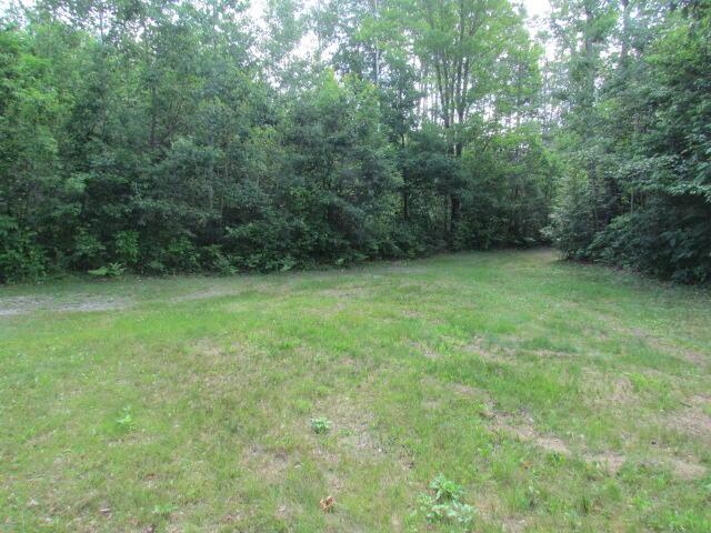 15520 Greasy Creek Rd, Atlanta, MI 49709 - photo 41
