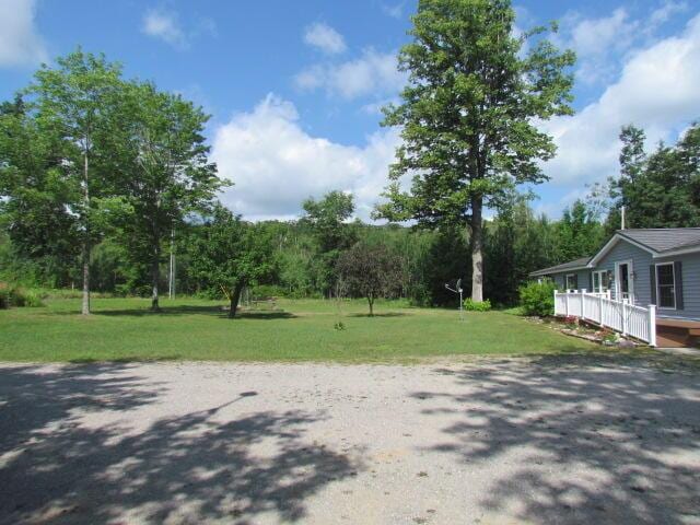 15520 Greasy Creek Rd, Atlanta, MI 49709 - photo 38