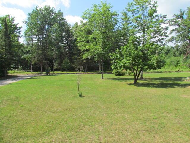 15520 Greasy Creek Rd, Atlanta, MI 49709 - photo 40